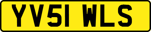 YV51WLS