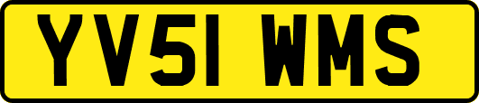 YV51WMS