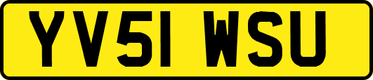 YV51WSU