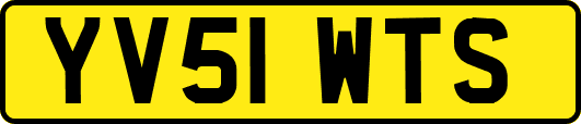 YV51WTS