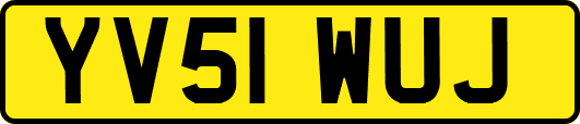 YV51WUJ