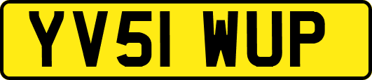 YV51WUP