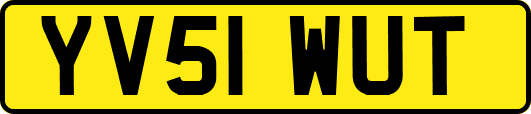 YV51WUT