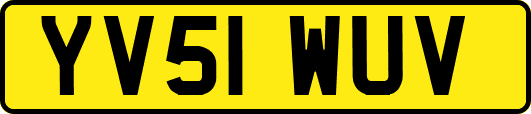YV51WUV