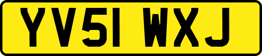YV51WXJ