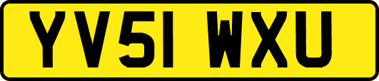 YV51WXU
