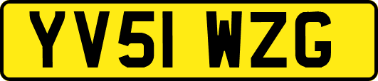 YV51WZG