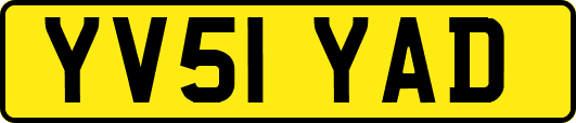 YV51YAD
