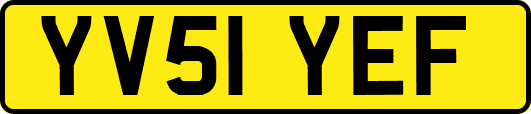 YV51YEF