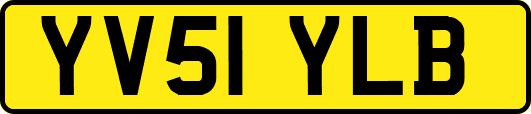 YV51YLB