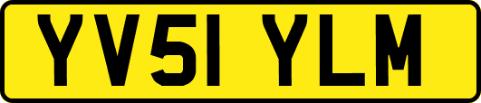 YV51YLM