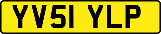 YV51YLP