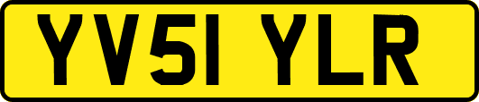 YV51YLR