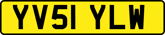 YV51YLW