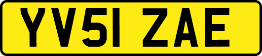 YV51ZAE