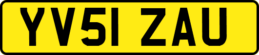 YV51ZAU