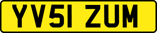 YV51ZUM