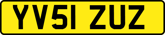 YV51ZUZ