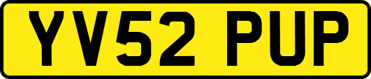 YV52PUP