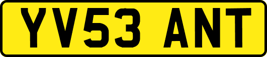 YV53ANT