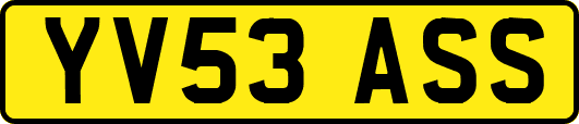 YV53ASS