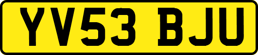 YV53BJU