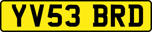 YV53BRD