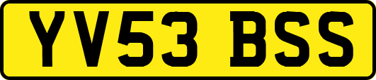 YV53BSS