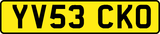 YV53CKO