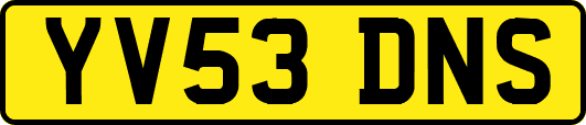 YV53DNS