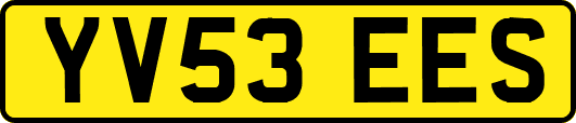 YV53EES