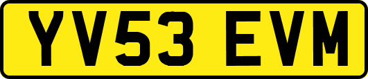 YV53EVM