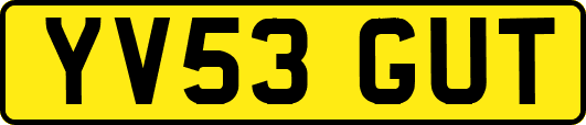 YV53GUT