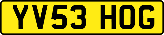 YV53HOG