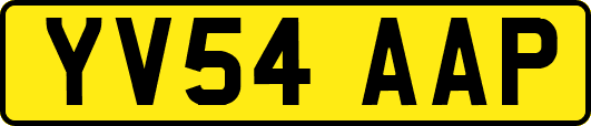 YV54AAP