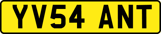YV54ANT