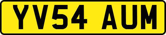 YV54AUM