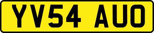 YV54AUO