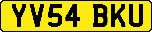 YV54BKU