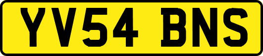 YV54BNS