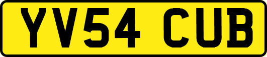 YV54CUB