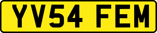YV54FEM