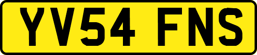YV54FNS