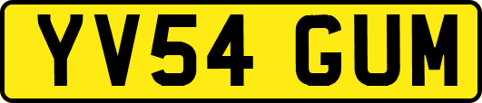 YV54GUM