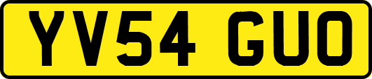 YV54GUO