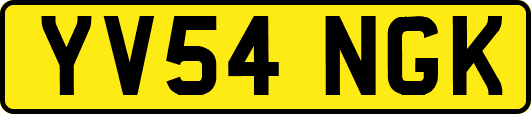 YV54NGK