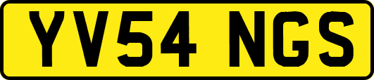 YV54NGS