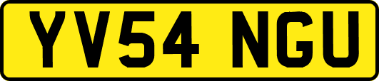 YV54NGU