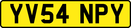 YV54NPY