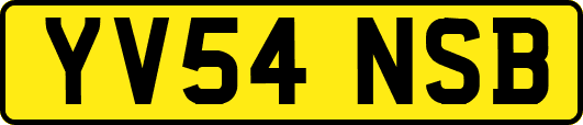 YV54NSB